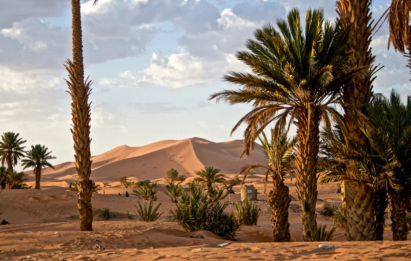 3 Days From Fes To Marrakech - The Best Morocco Desert Tours!