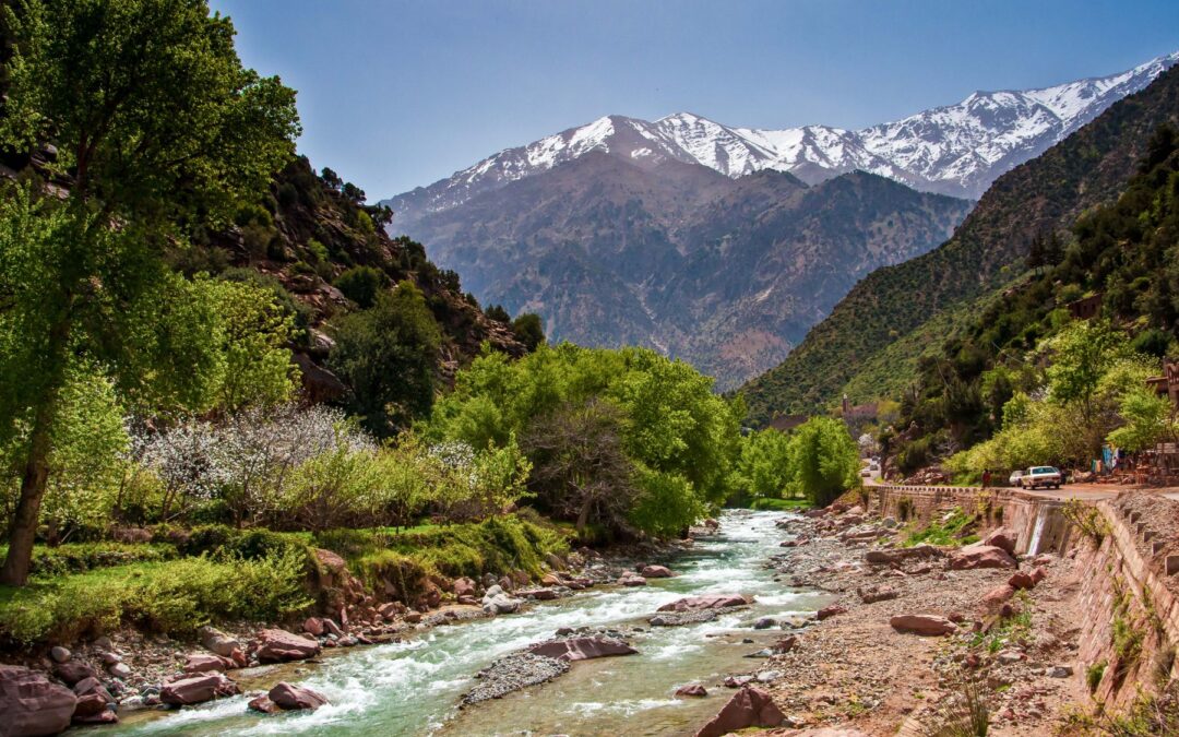 Marrakech Day Tours to Ourika Valley