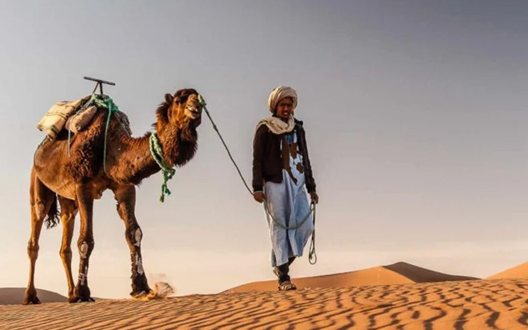 3 Days Desert Tour from Marrakech to Fes – Morocco Desert Tours